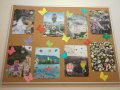 IMG-20250414-WA0047